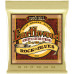 ERNIE BALL 2008 Earthwood 80/20 Bronze Rock&Blues 10-52 - Струны для акустической гитары