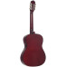TERRIS TC-3901A NA - Гитара классическая 4/4 TERRIS TC-3901A NA - Гитара классическая 4/4