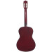 TERRIS TC-3801A NA - Гитара классическая 7/8 TERRIS TC-3801A NA - Гитара классическая 7/8
