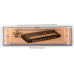 BEE DF10A-1 GOLD - Губная гармоника диатоническая BEE DF10A-1 GOLD - Губная гармоника диатоническая